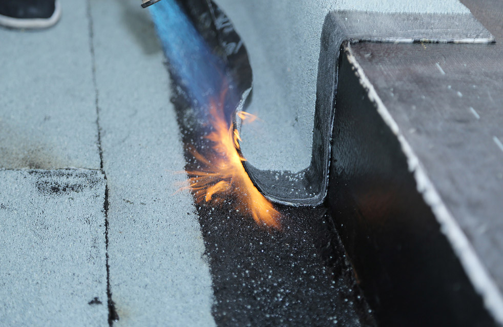 �ŵ�88(�й���)�ٷ���վ