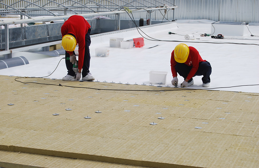 �ŵ�88(�й���)�ٷ���վ