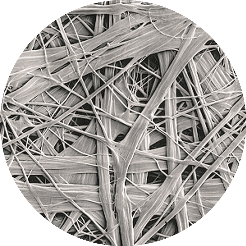 �ŵ�88(�й���)�ٷ���վ