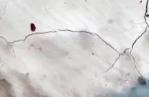 �ŵ�88(�й���)�ٷ���վ