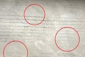 �ŵ�88(�й���)�ٷ���վ