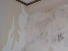 �ŵ�88(�й���)�ٷ���վ