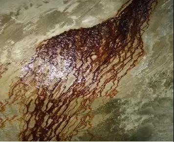 �ŵ�88(�й���)�ٷ���վ