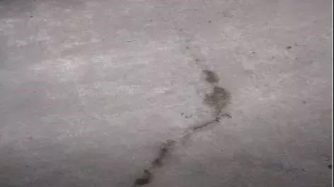 �ŵ�88(�й���)�ٷ���վ