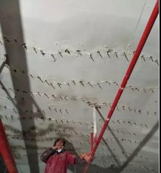 �ŵ�88(�й���)�ٷ���վ