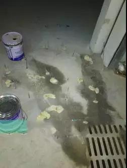 �ŵ�88(�й���)�ٷ���վ