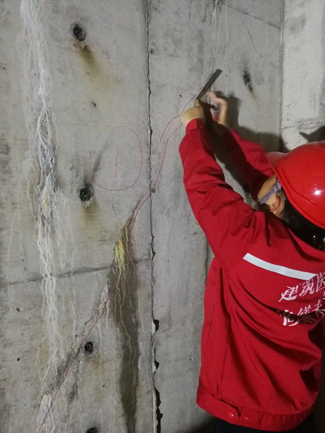 �ŵ�88(�й���)�ٷ���վ