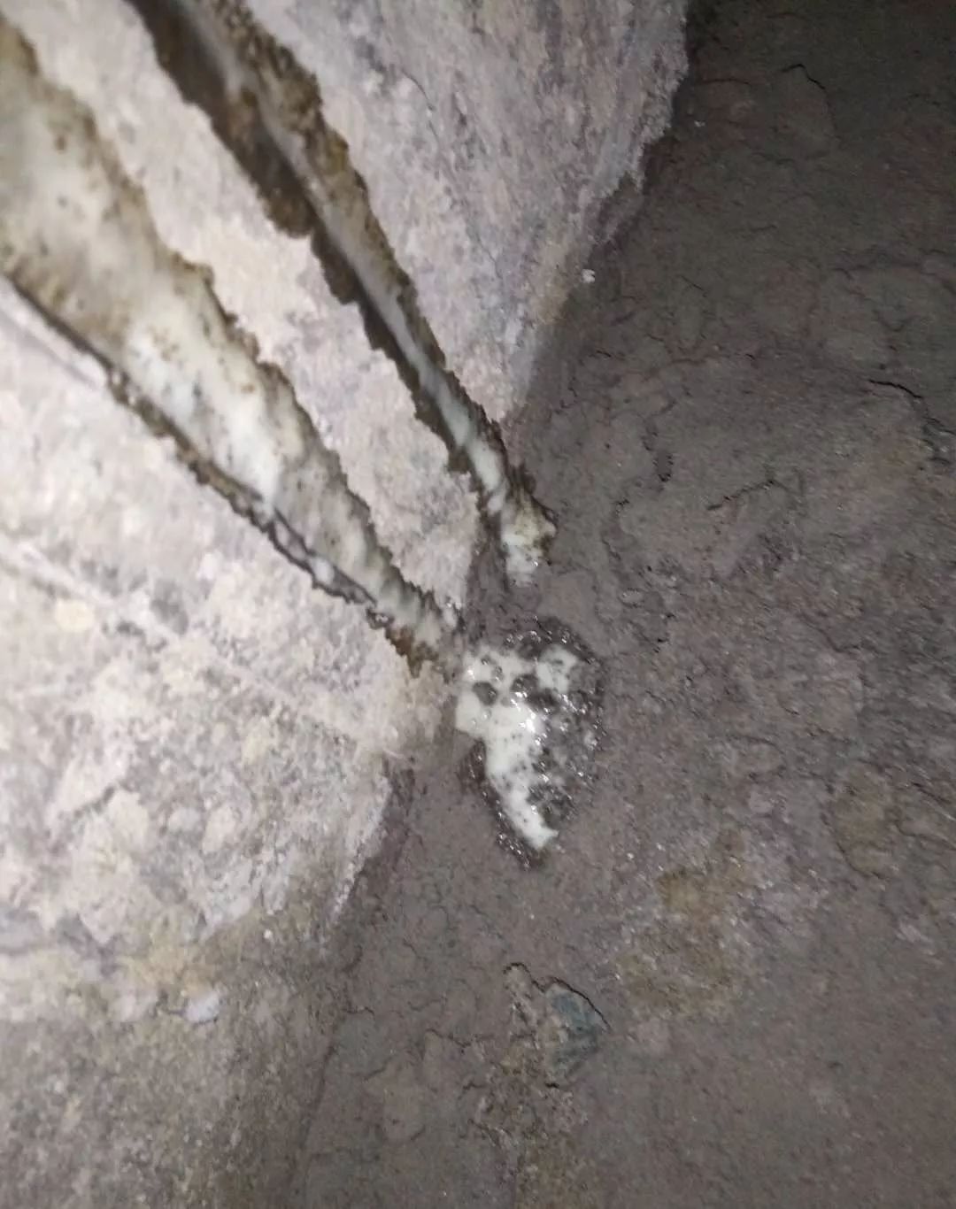 �ŵ�88(�й���)�ٷ���վ