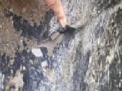 �ŵ�88(�й���)�ٷ���վ