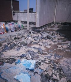 �ŵ�88(�й���)�ٷ���վ