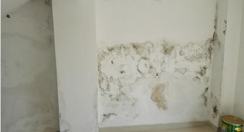 �ŵ�88(�й���)�ٷ���վ