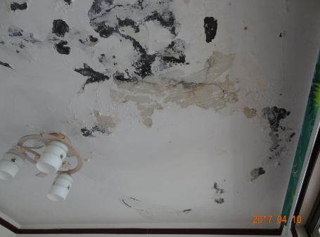 �ŵ�88(�й���)�ٷ���վ