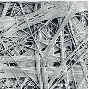 ÓŵÂ88(ÖйúÇø)¹Ù·½ÍøÕ¾