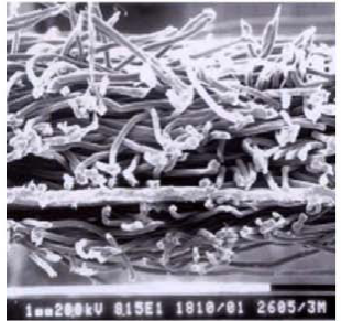 ÓŵÂ88(ÖйúÇø)¹Ù·½ÍøÕ¾