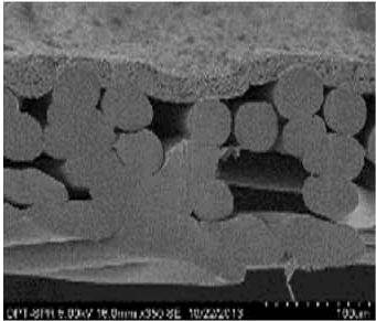 ÓŵÂ88(ÖйúÇø)¹Ù·½ÍøÕ¾