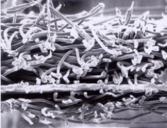 ÓŵÂ88(ÖйúÇø)¹Ù·½ÍøÕ¾