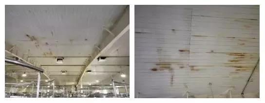 �ŵ�88(�й���)�ٷ���վ