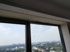 �ŵ�88(�й���)�ٷ���վ