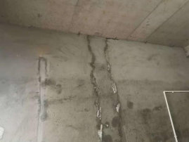 �ŵ�88(�й���)�ٷ���վ