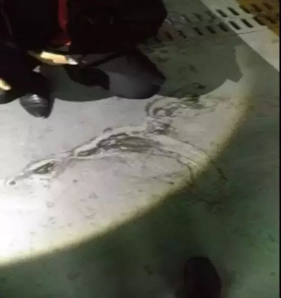 �ŵ�88(�й���)�ٷ���վ