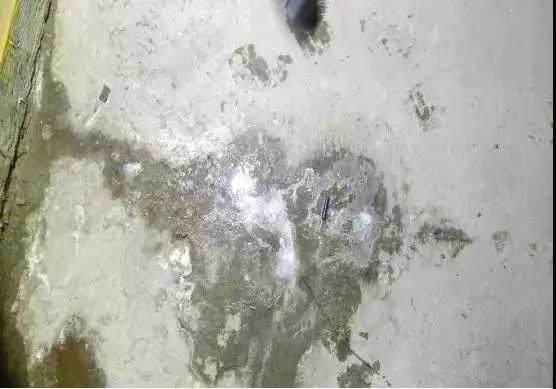 �ŵ�88(�й���)�ٷ���վ