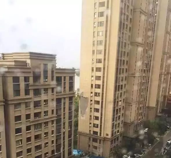 �ŵ�88(�й���)�ٷ���վ