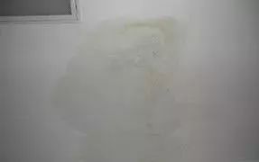 �ŵ�88(�й���)�ٷ���վ