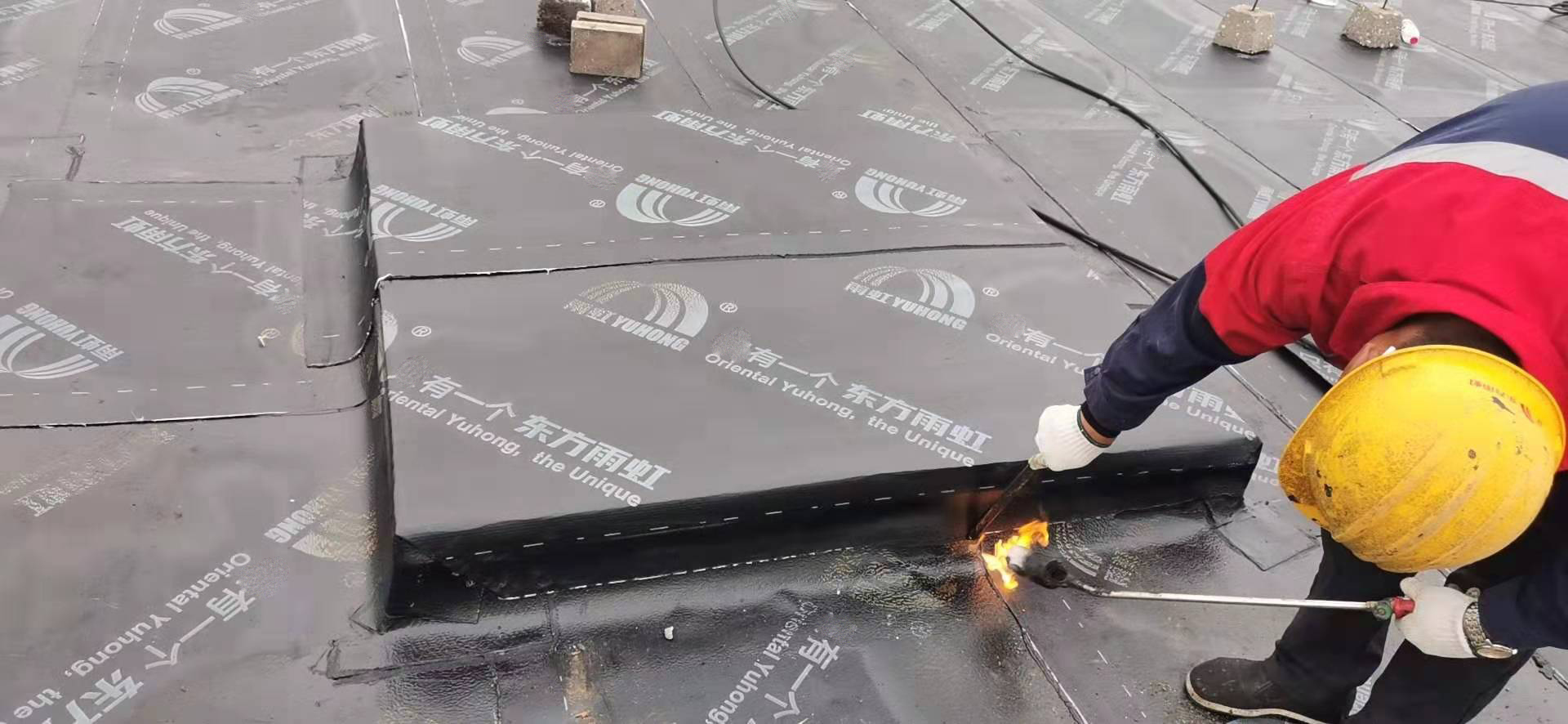 �ŵ�88(�й���)�ٷ���վ