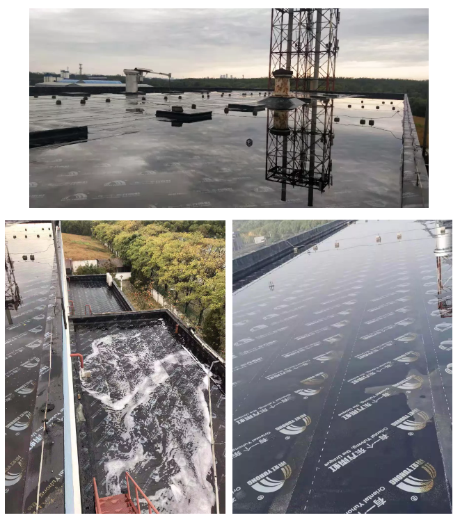 �ŵ�88(�й���)�ٷ���վ