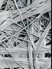 �ŵ�88(�й���)�ٷ���վ