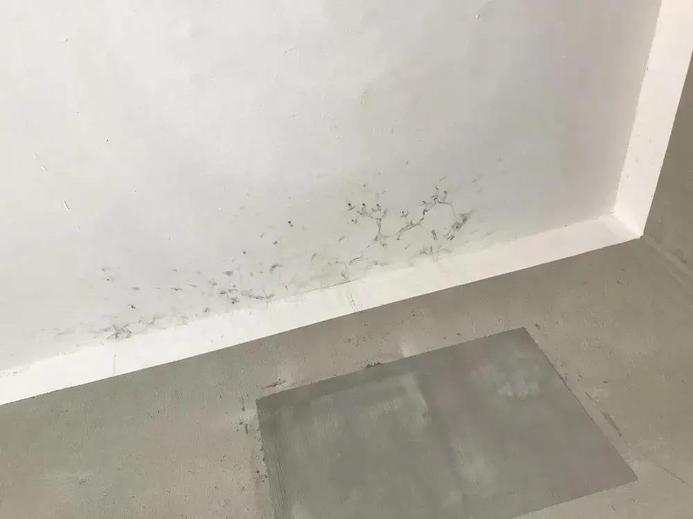 �ŵ�88(�й���)�ٷ���վ