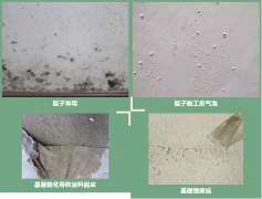 �ŵ�88(�й���)�ٷ���վ