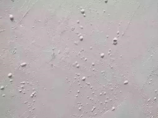 �ŵ�88(�й���)�ٷ���վ