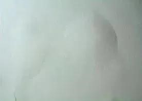 �ŵ�88(�й���)�ٷ���վ