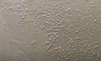 �ŵ�88(�й���)�ٷ���վ