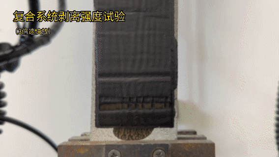 �ŵ�88(�й���)�ٷ���վ