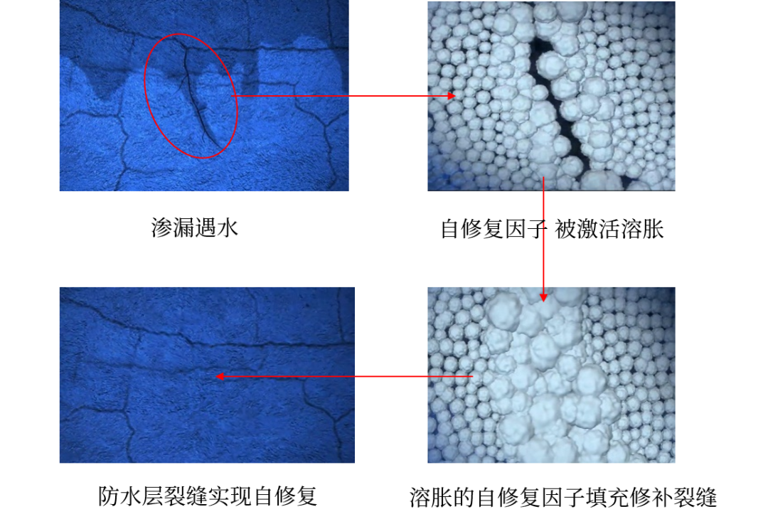 �ŵ�88(�й���)�ٷ���վ