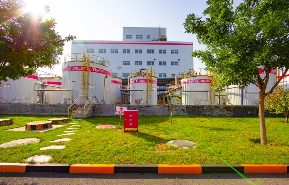 ÓŵÂ88(ÖйúÇø)¹Ù·½ÍøÕ¾