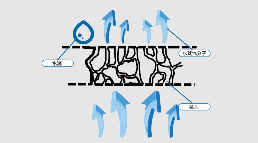 �ŵ�88(�й���)�ٷ���վ